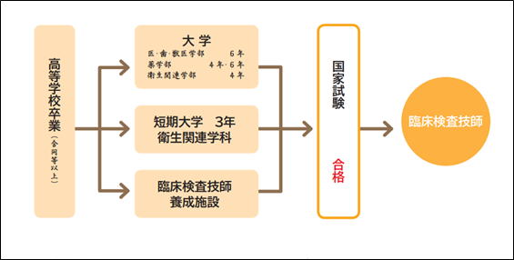 臨床検査技師になるには